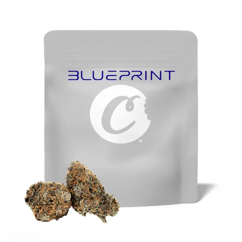 Blueprint Mix - Micro Popcorn from  product image