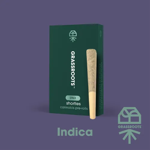 {'strain': 'Pillow Mints (I)', 'strain_type': 'Indica', 'company': 'Curaleaf', 'brand': 'Grassroots', 'price': Decimal('19.80'), 'regular_price': Decimal('33.00'), 'thc': Decimal('30.23'), 'cbd': Decimal('0.06'), 'terps': Decimal('0.00'), 'grams': Decimal('0.400'), 'dollars_per_thcg': Decimal('163.730'), 'dollars_per_g': Decimal('49.500'), 'product_format': 'Flower', 'product_sub_format': 'PreRoll', 'dispensary_cities': ['Panama City'], 'main_url': 'https://curaleaf.com/shop/florida/curaleaf-dispensary-panama-city/menu//menu/pre-rolls-1523/indica-pillow-mints-i-pre-roll-pack-pillow-mints-i-0.4g-ea--5-pack-19149', 'display_image_url': 'https://thchunter-images.s3.us-east-2.amazonaws.com/product_images/a2c54e07-84a6-4ca7-86e5-dc0257b99ca0.webp', 'id': 12676248, 'company_logo_file': 'curaleaf.jpg', 'company__premium_company': False, 'company__name': 'Curaleaf'}