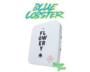 Flowery Whole Flower Preroll Pack 5x0.5g - Blue Lobster - 