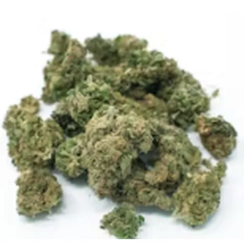 Mini Buds 7g Acapulco Gold