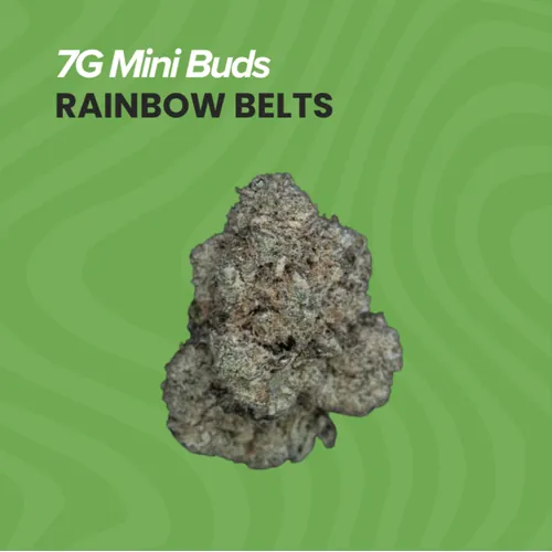 7g Mini Buds - Rain. Belts by Sanctuary Cannabis - 7.000g Smalls