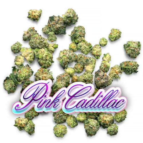 Pink Cadillac - 