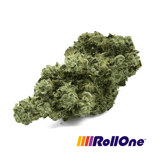 {'strain': 'St. Marks Skunk', 'strain_type': 'Indica', 'company': 'Trulieve', 'brand': 'Roll One', 'price': Decimal('20.00'), 'regular_price': Decimal('20.00'), 'thc': Decimal('29.00'), 'cbd': Decimal('0.00'), 'terps': Decimal('2.98'), 'grams': Decimal('3.500'), 'dollars_per_thcg': Decimal('19.700'), 'dollars_per_g': Decimal('5.710'), 'product_format': 'Flower', 'product_sub_format': 'Whole', 'dispensary_cities': ['Homosassa'], 'main_url': 'https://www.trulieve.com/product/roll-one-st-marks-skunk-whole-flower-73983', 'display_image_url': 'https://thchunter-images.s3.us-east-2.amazonaws.com/product_images/a7329e0e-b3be-4fd6-af1e-e980cbb915a0.webp', 'id': 12115064, 'company_logo_file': 'Trulieve.jpg', 'company__premium_company': False, 'company__name': 'Trulieve'}