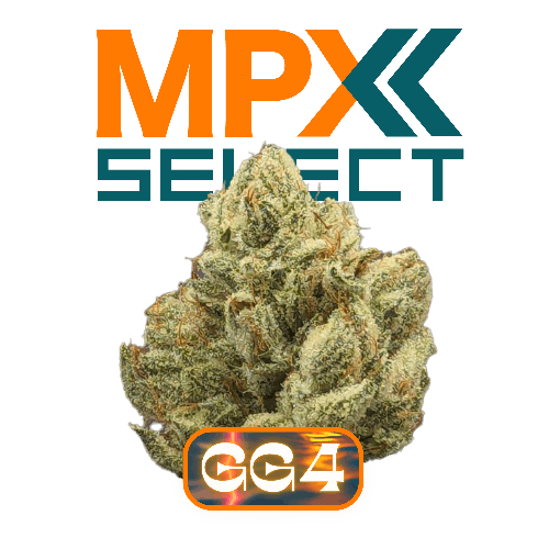 MPX Select Gorilla Glue 4 Flower - 