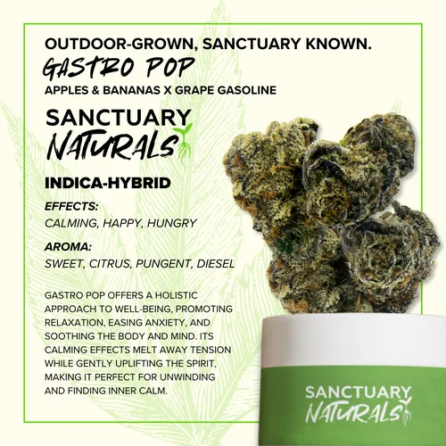 {'strain': 'Gastro Pop', 'strain_type': 'Indica Hybrid', 'company': 'Sanctuary', 'brand': 'Sanctuary Cannabis', 'price': Decimal('19.00'), 'regular_price': Decimal('38.00'), 'thc': Decimal('31.00'), 'cbd': Decimal('0.00'), 'terps': Decimal('0.00'), 'grams': Decimal('3.500'), 'dollars_per_thcg': Decimal('17.510'), 'dollars_per_g': Decimal('5.430'), 'product_format': 'Flower', 'product_sub_format': 'Whole', 'dispensary_cities': ['West Palm Beach'], 'main_url': 'https://www.sanctuarymed.com/near-me/florida-cannabis-dispensary/west-palm-beach-fl-cannabis-dispensary?dtche%5Bproduct%5D=gastro-pop-sanctuary-naturals', 'display_image_url': 'https://thchunter-images.s3.us-east-2.amazonaws.com/product_images/a8c40024-d6d9-44e4-921b-3646ddcd42a8.webp', 'id': 12748812, 'company_logo_file': 'Sanctuary.jpg', 'company__premium_company': False, 'company__name': 'Sanctuary'}