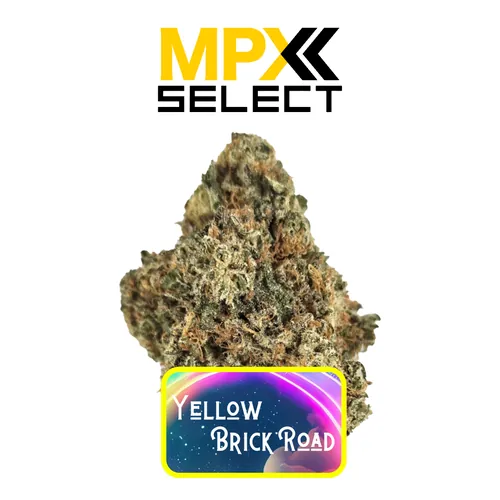 MPX Select Yellow Brick Road Flower from  product image