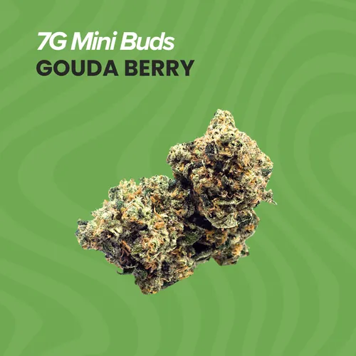 Mini Buds Gouda Berry - 
