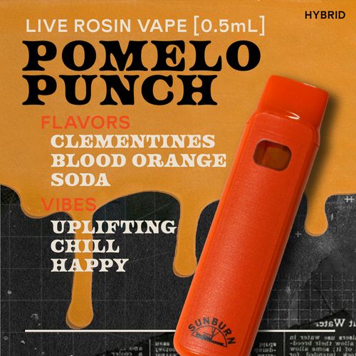 Pomelo Punch 0.5g Live Rosin Disposable Vape - 