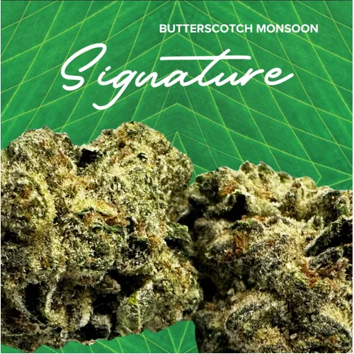 Signature  Butterscotch Monsoon - 