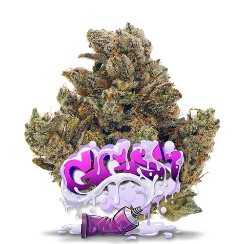 GGS1 - Premium Flower from  product image