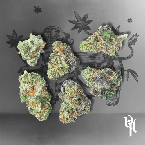 Oishii X Grape Lyfe - 