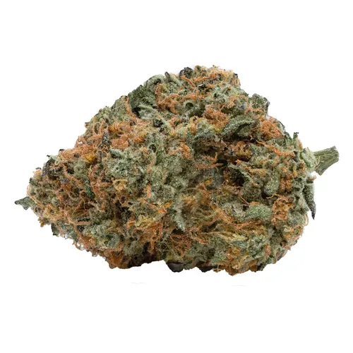 Medellin Flower from  product image