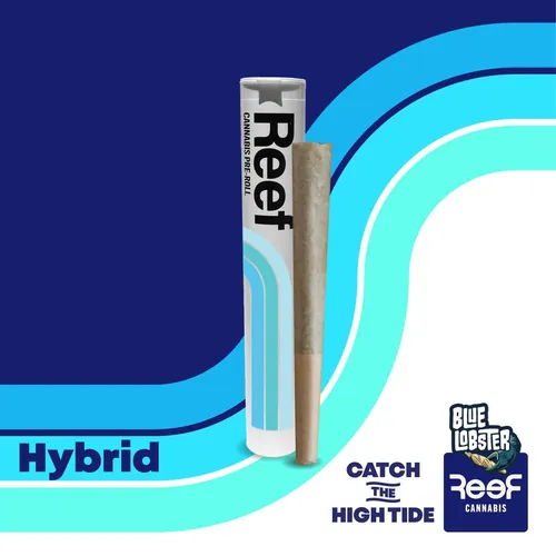 Blue Lobster -  cannabis product