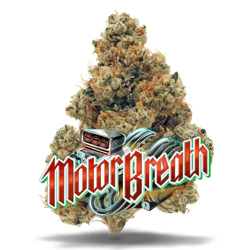 Motor Breath - Whole Flower 3.5G from  product image
