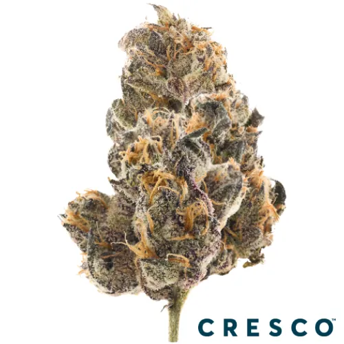 Supply Shake 7g - Chrry Lme Bubba (I) by Supply - 7.000g Ground