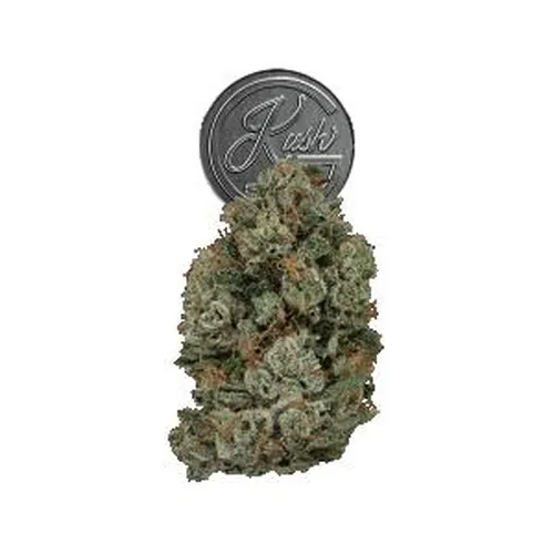 Josh D 3.5g Flower - Josh D OG (Glass Jar) from  product image