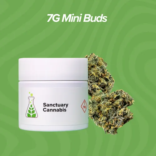 Zmints Mini Buds - 7g from  product image