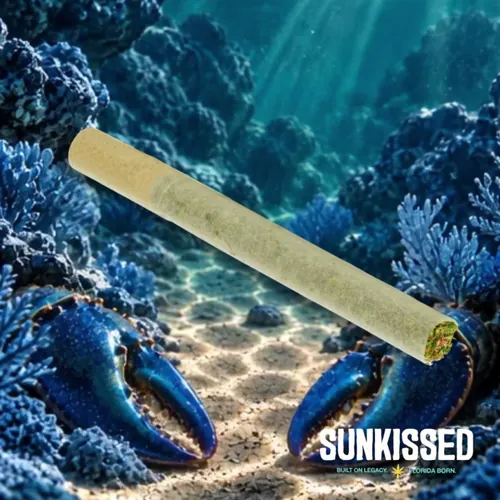Blue Lobster x GrapeLyfe by Sunkissed - 1.000g PreRoll