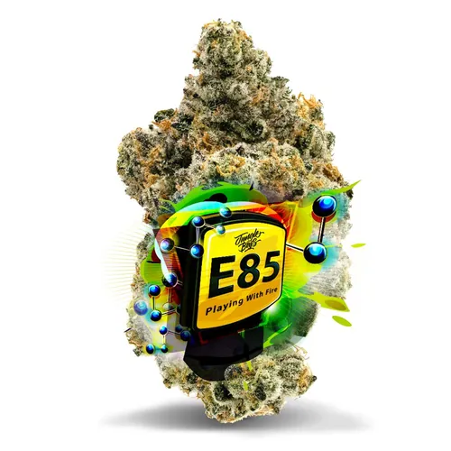 E85 - 