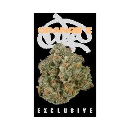 Orange Z Eighth - 