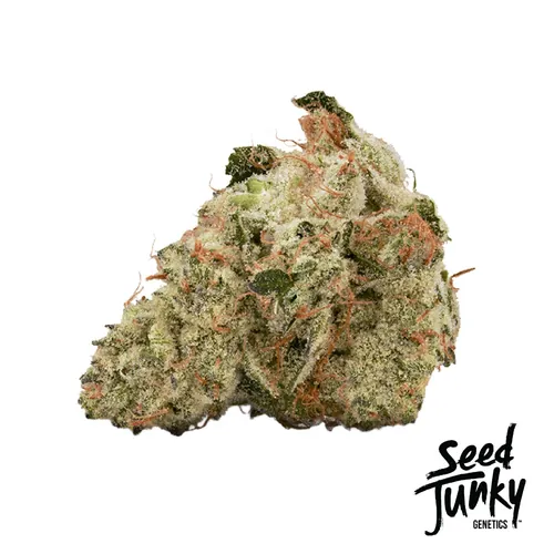 Cherry Cap Flower from  product image