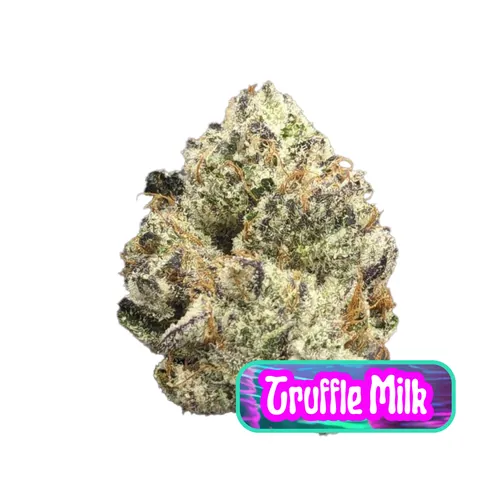Truffle Milk Flower from  product image