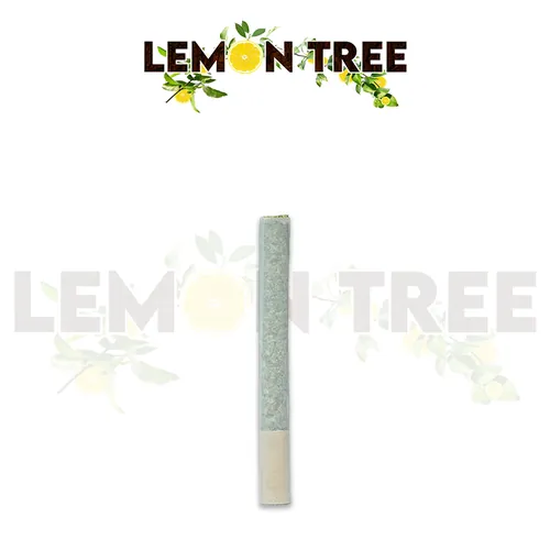 Lemon Tree Pre-roll - 
