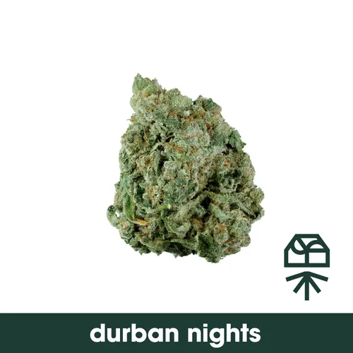 Durban Nights - 
