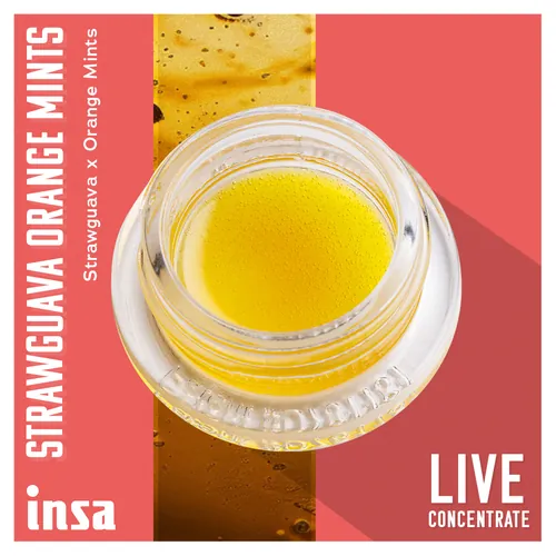 Live Budder - Strawguava Orange Mints from  product image
