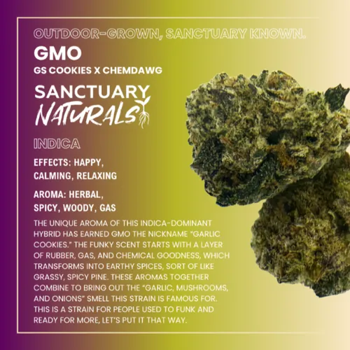 GMO - 