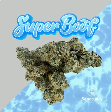 Super Boof - 