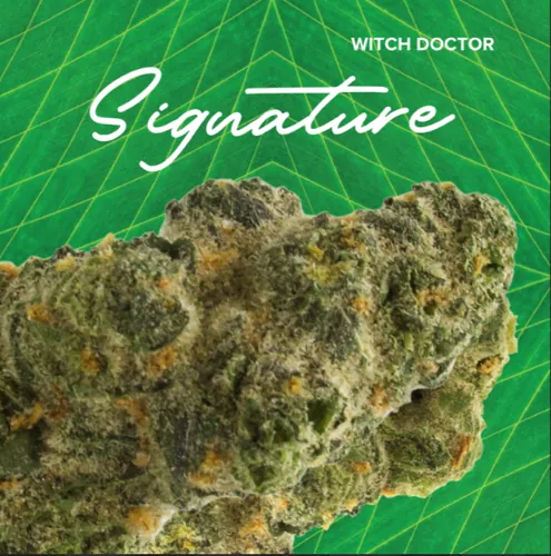 Signature  Witch Doctor - 