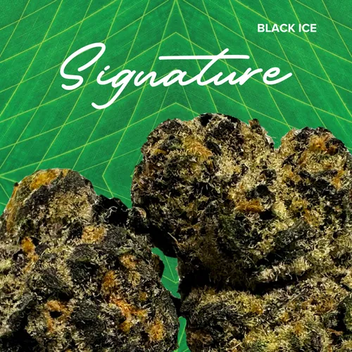 Black Ice Signature - 3.5g by Sanctuary Medicinals - 3.500g Whole
