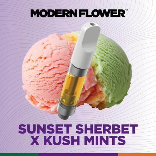 Sunset Sherbet x Kush Mints - Live Sauz Cart 1G