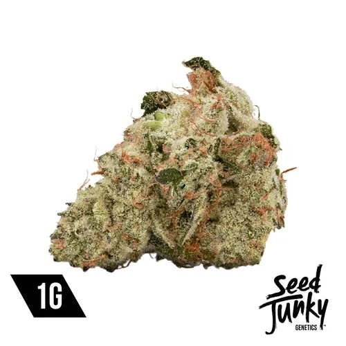 Cherry Cap Flower by Seed Junky - 1.000g Whole