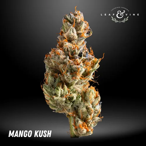 Leaf Vine Mango Kush -  cannabis product