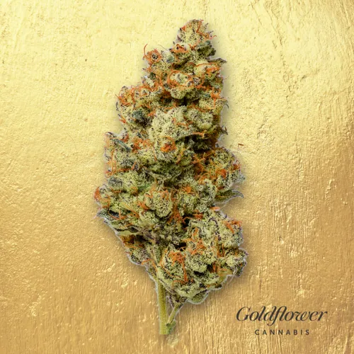 Permanent Runtz #2 by Goldflower - 3.500g Whole