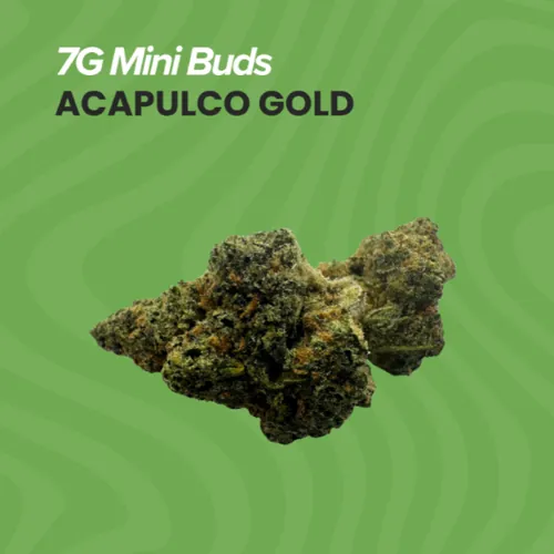 image of Mini Buds | Acapulco Gold | 7g