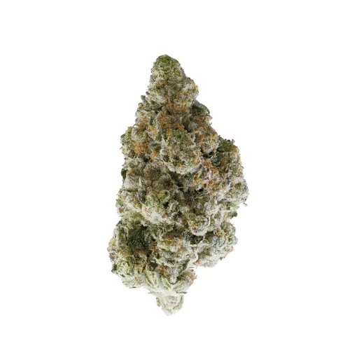 Cyber Wolf by Knack - 3.500g Whole