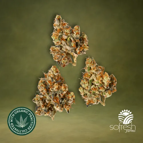 Punch Breath by sofresh farms - 3.500g Smalls