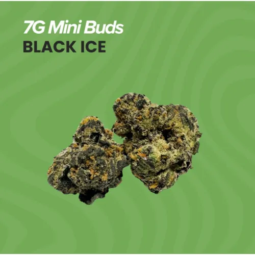 Mini Buds  Black Ice - 