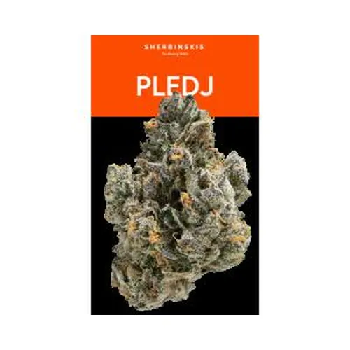 Pledj Eighth - 