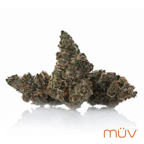  from  product image