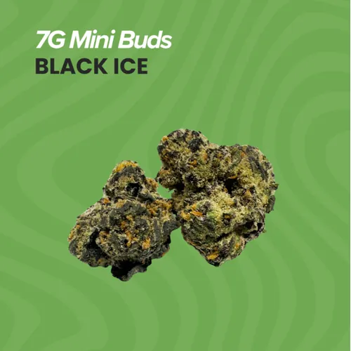 Mini Buds - Black Ice - 