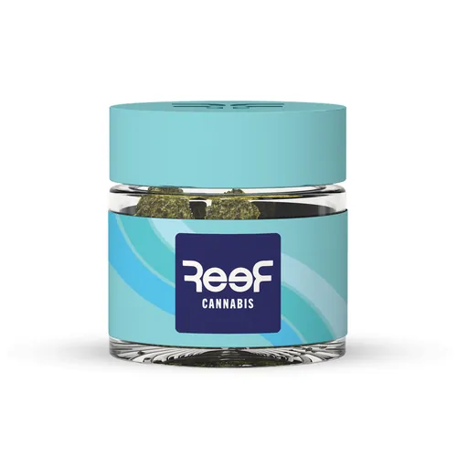 Raspberry Parfait by Reef - 3.500g Whole