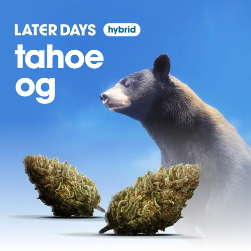 Tahoe OG Flower from  product image
