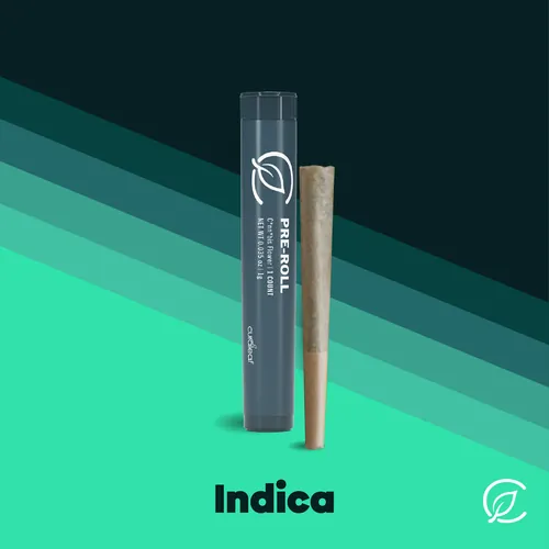 Apple Fritter x Gluey by Curaleaf - 1.000g PreRoll