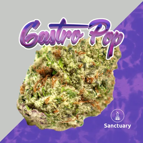 Sanctuary Naturals | Gastro Pop | 3.5g