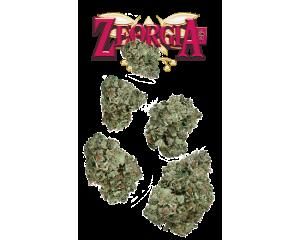 Zeorgia 7g Juniors - 