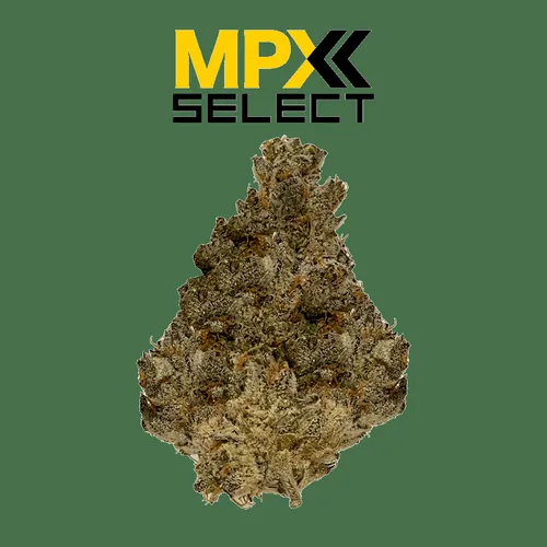 image of MPX Select™ Cookie Dog Flower